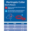PetSafe Adjustable Martingale Collar - Only Tightens When Dogs Pull,
