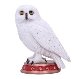 Nemesis Now Wizard's Familiar Owl Figurine, White, 10cm