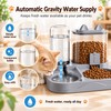 2-in-1 Gravity Pet Feeder and Water Dispenser Bowl for Cats