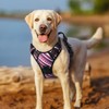 rabbitgoo Dog Harness No Pull with 2 Leash Clips, Adjustable