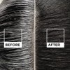 Kit Garnier Nutrisse Retocador de Raíz 1.0 Negro Intenso, Pack