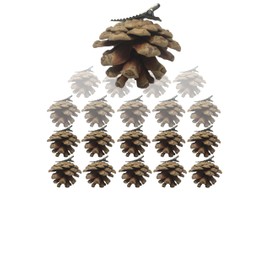 Pine Cone Christmas Decorations - Set of 40 Real Pinecones with Silver Metal Clips Attached - Each Measures 1-2" L