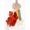 sigikid 43169 Baby Active Toy Fox, Red
