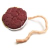Benilev Placenta Umbilical Cord Anatomical Model, Life Size Umbilical Cord