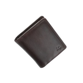 Visconti Tuscany Collection Camper Card Holder Leather - with RFID Protection TSC40, brown, Compact