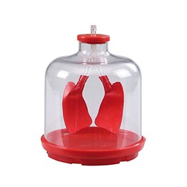 Betzold - Lung Function Model - Teaching Aid Biology Children School Model