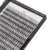 Bodermincer 10D/20D/30D/40D/50D Cluster Para Elegir Bandeja Grande 240 Piezas D