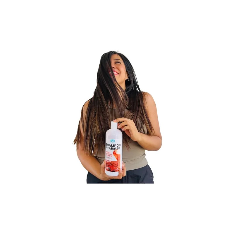 Mayoreo 1 Caja Shampoo De Caballo Zaire 12 Pz