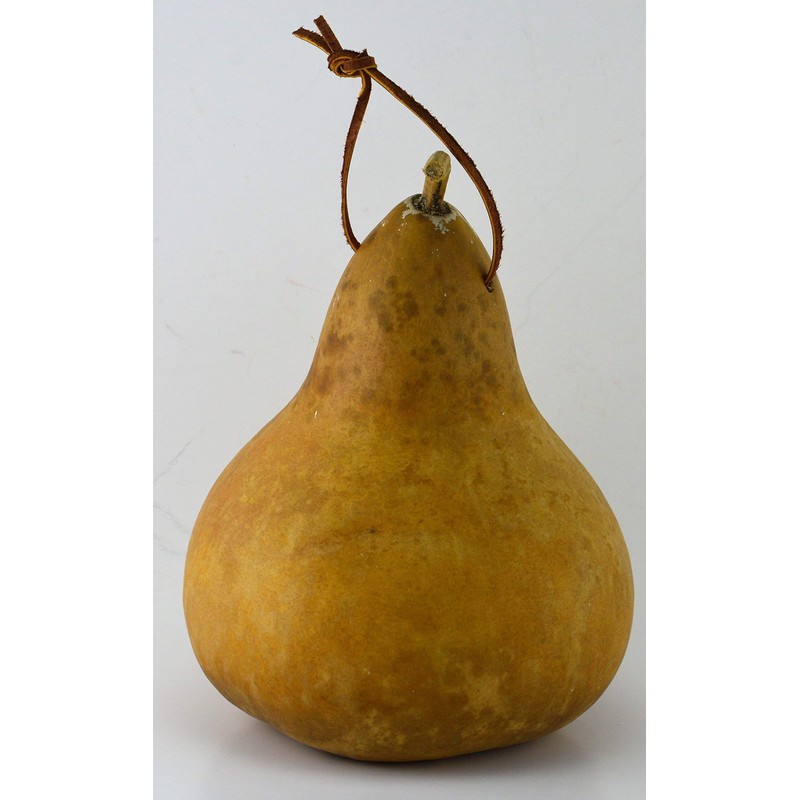 Gourd Birdhouse, Unfinished, Create Your Own Birdhouse