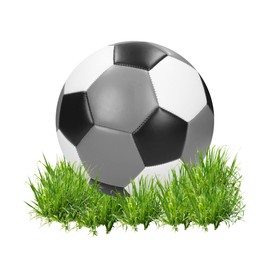 elasto PROMOTION FOR LIFE Football 'Champion' - Football for Children and Adults - Size 5 Perfect for Scoring Goals - Ball for Indoor and Outdoor Training - Ideal as a Gift Idea, Colour: Multicoloured