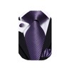 Dubulle Mens Tie Set Solid Paisley Silk Striped Necktie for