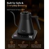 Gooseneck Electric Kettle with Temperature Control, 0.9L, Black