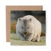 1 x Greeting Card Cute Wombat Australia Animal - Blank