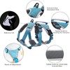 BELPRO Multi-Use Support Dog Harness, Escape Proof No Pull Reflective