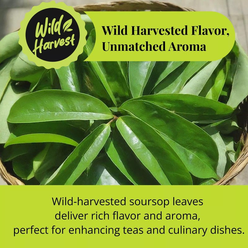 Akshit Soursop Leaves, 200+Graviola Leaves, Hojas De Guanabana Leaf, Tea,