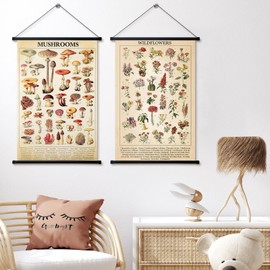 Geosar 2 Pcs Vintage Mushroom Flower Butterfly Tree Poster Fungus Rustic Wall Hanging Illustrative Reference Chart Poster for Bedroom Living Room, 15.7 x 23.6 Inch(Mushroom,Flower)