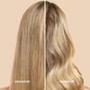 Leave-In Conditioner
