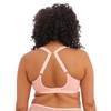 Elomi Women's Charley Stretch Plunge Bra: Stretch Lace & Mesh,