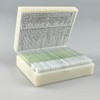 30 Pcs Microscope Slides Prepared Biology Specimen Lab Sample with