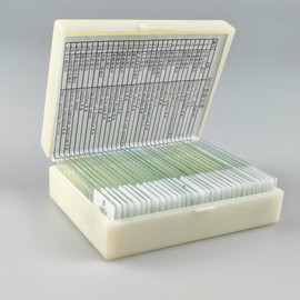 30 Pcs Microscope Slides Prepared Biology Specimen Lab Sample with Insects Plants Science Learning Home School