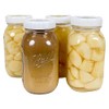 Homeplace | Regular Mouth Mason Jar Ring | Plastic |