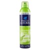 Felce Azzurra Aria di Casa Giardini Zen Garden Room Freshener 250 ml