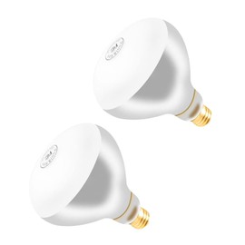 Generalman 500W R40 120V Pool Light Bulb for Inground Pool & Spa – 3000K Warm White, E26 Base, High-Power, Compatible with Pentair & Hayward Fixtures, 3,000-Hour Lifespan (2 Pack)