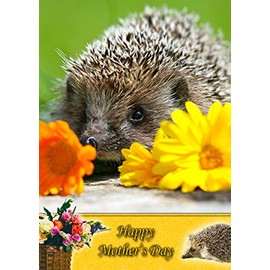 Hedgehog Animal Mothers Day Card