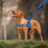 Annchwool No Pull Dog Harness with Soft Padded Handle,Reflective Strip