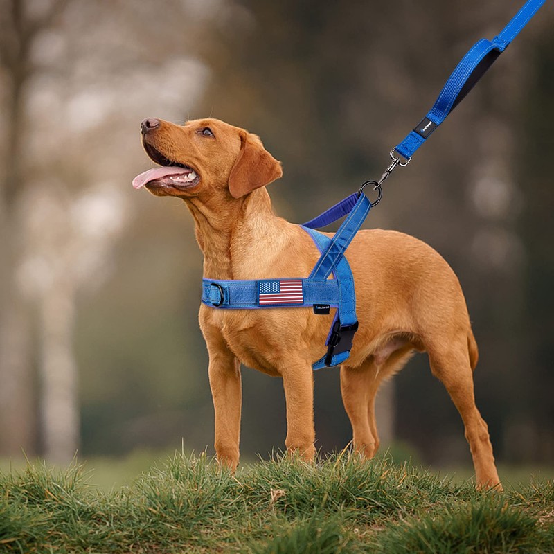 Annchwool No Pull Dog Harness with Soft Padded Handle,Reflective Strip