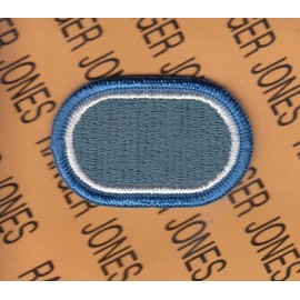 D Co 110th MI Bn LRSD Long Range Surveillance Airborne Ranger para oval patch