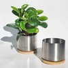 THE SIMPLE SMART COMPANY 304 Mini Accent Planter (2 Pack)