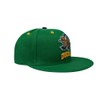 D-5 Mighty Ducks Adjustable Snapback Hat for Men Women #96