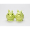 Fine Ceramic Green Bunny Rabbit Salt & Pepper Shakers Set,