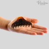 Parcelona French Boss Thin and Narrow Medium Tortoise Shell Covered