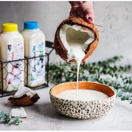 Valentina Jungle Milk | Liquid Milk Bath | Bath Milk | Oil |  Soak | Ultra Hydrating  | Brightening |  Moisture | Rosacea | Anti Aging | Tightening - Specification: 32 oz. Milk Jug