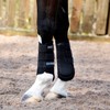 Masta Air-Flux Horse Brushing Boots - Training Neoprene Protective Wrap