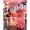 Papyrus 9" Medium Valentines Day Gift Bag, Love Hearts (1