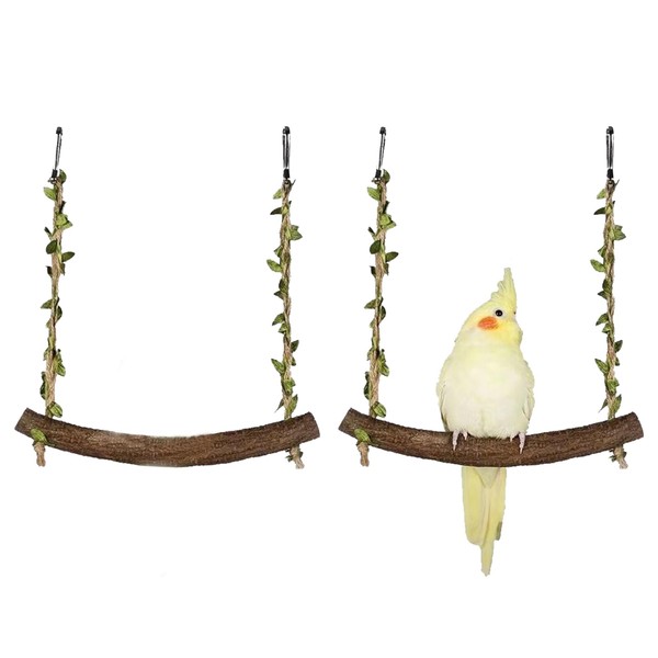 Pack of 2 Bird Swings, Bird Toys for Budgies, Bird
