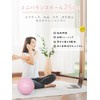 PROIRON Pilates Ball 10 inches Yama Ball Gymnick Ball Soft
