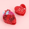 Realistic Anatomy Heart Acetate Hair Claw Clip,Red Heart Claw Clip