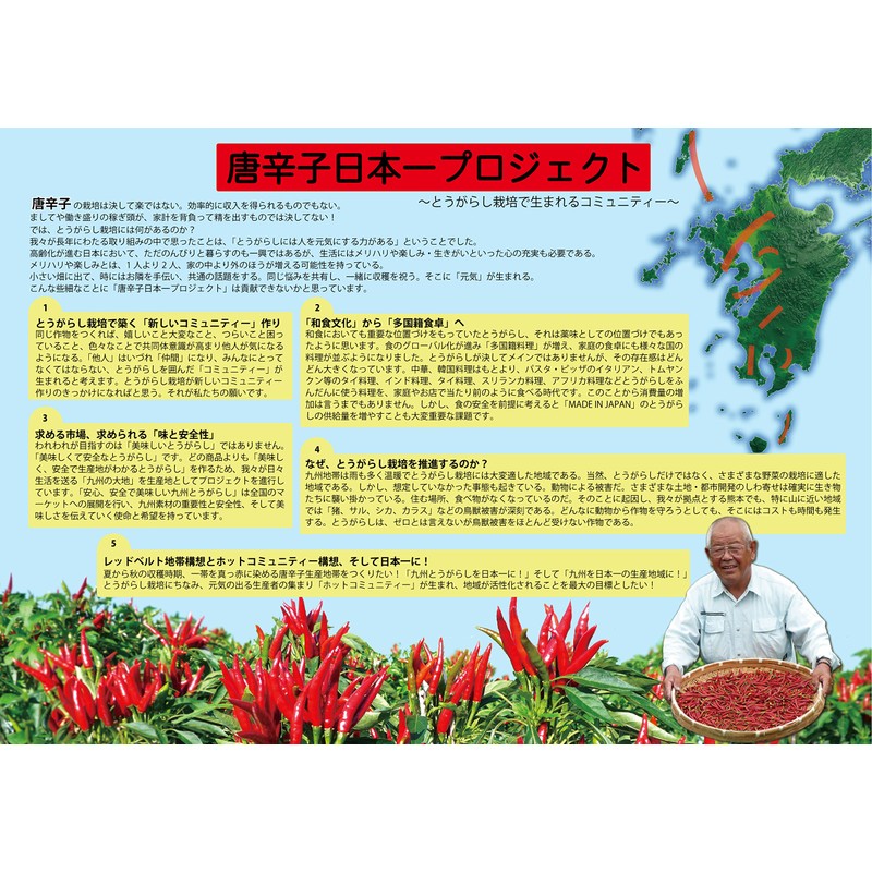 (Commercial Use) Karami Kyushu Pepper (Pepper) 3.5 oz (100 g)