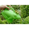 Esschert Design Watering Can - Frog Prince Green