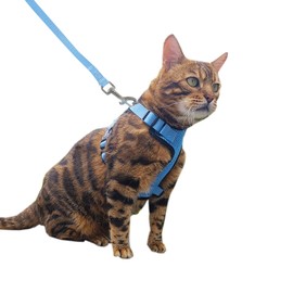 Cat Harness and Leash Set,Escape Proof Adjustable Cat Harness,Soft and Breathable Kitten Harness and Leash with Reflective Strips for Walking and Traveling(Light Blue, Small(8.9-16.6lb))