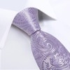 DiBanGu Mens Tie and Lapel Pin Set Silk Lilac Paisley