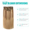 SURNEL Hair Extensions Clip in Balayage Ombre Color 10 Fading