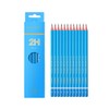 Pack of 12 Professional Drawing Pencils - 2H Hardness Medium