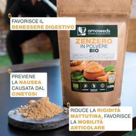 Zenzero in polvere Bio 200G | Digestione, Articolazioni, Nausea | Disidratato senza zucchero | Qualità Superiore