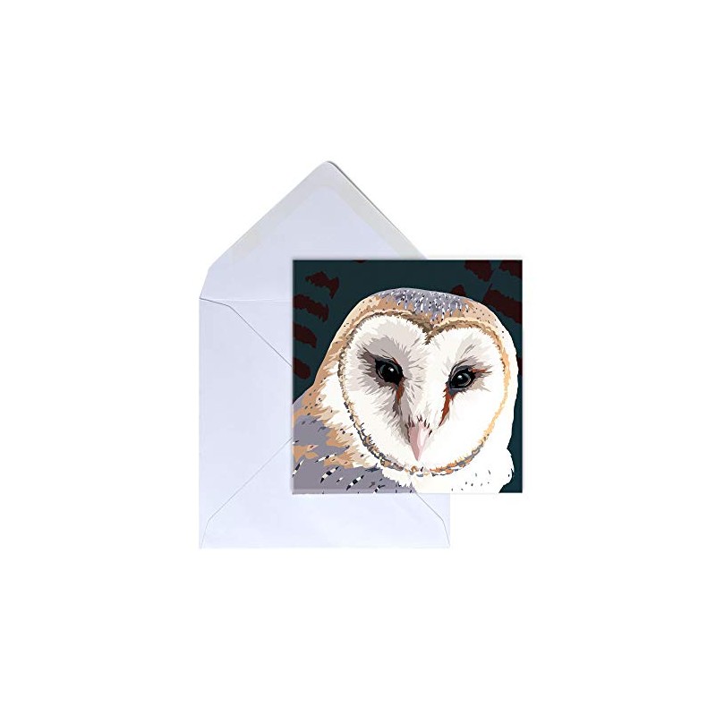 Barn Owl Blank Greeting Card by Leslie Gerry - Pack