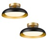 kudos Semi Flush Mount Ceiling Light Fixture, Black and Gold